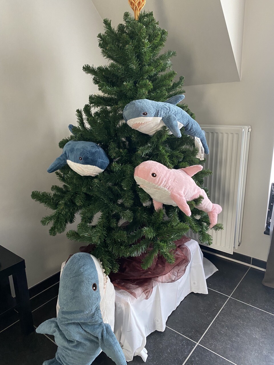Pretty empty Christmas Tree with 2 tiny blue Blåhajar and one pink one hanging in it. A big one is on the bottom looking up at them