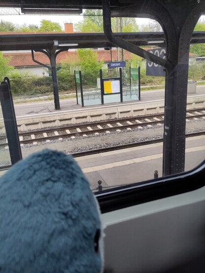 Blåhaj infront of a train window with Uelzen Central Station in the background 