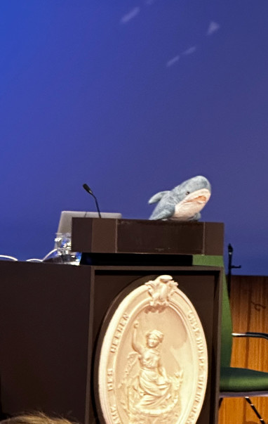 Shark on speaker stand of VU
