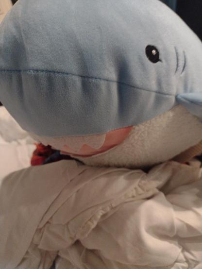 ein hellblauer, sehr runder Haj schaut glücklich in die Kamera. Sie sitzt auf einer weiß bezogenen Bettdecke.