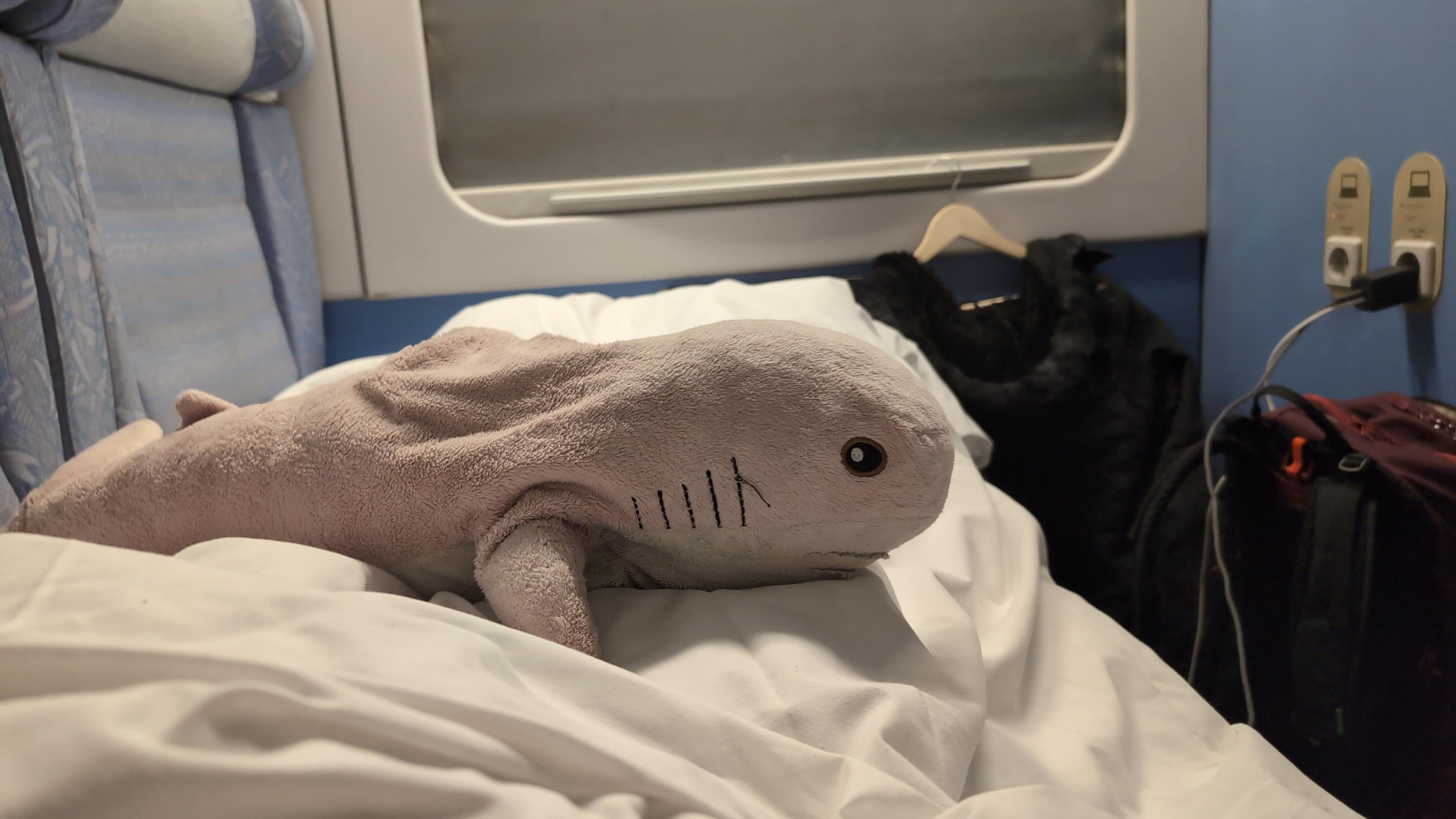 Rosåhaj sitting on thé sheets of a night train bed.