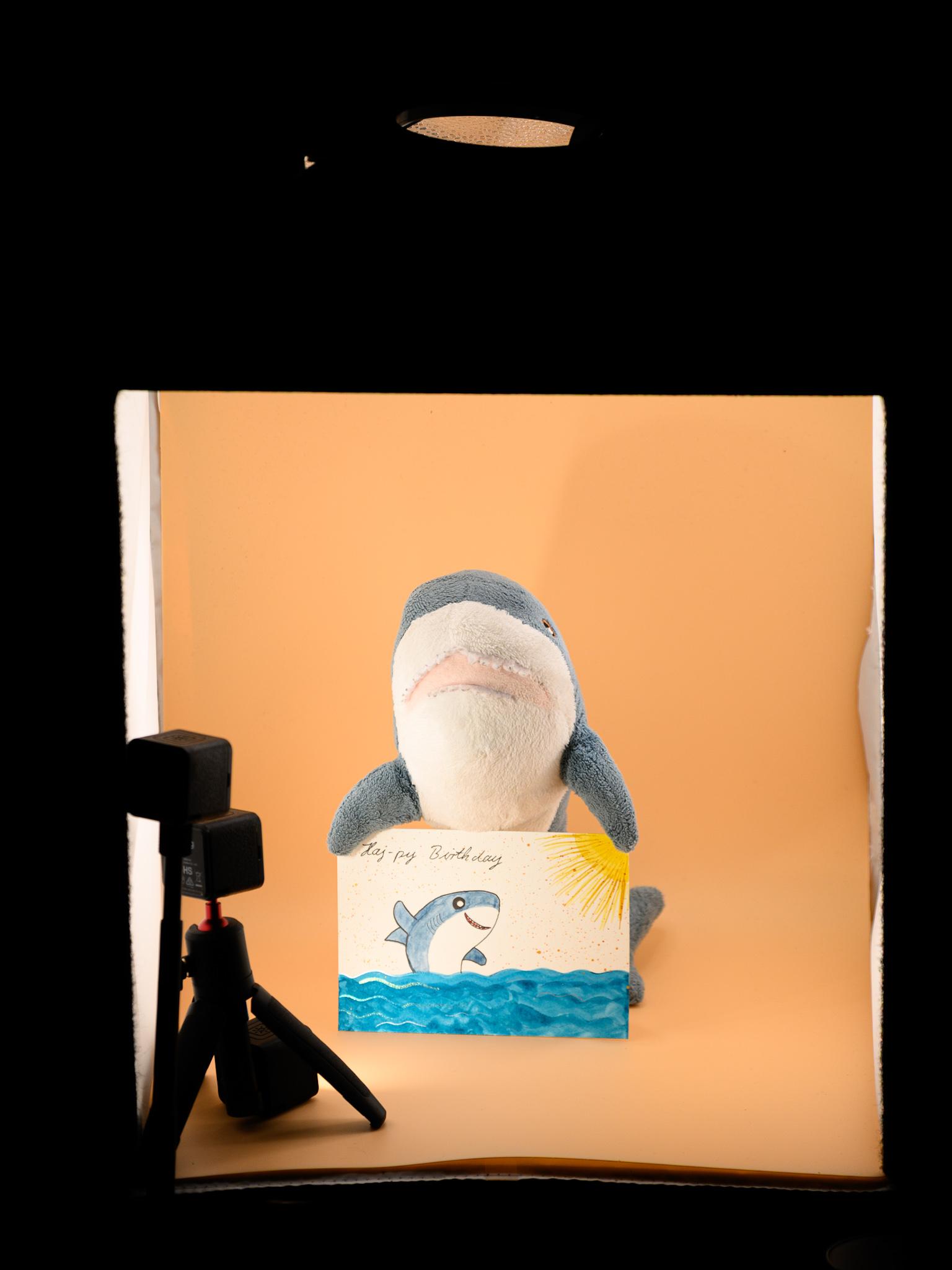 Heraussgezoomter Ausschnitt mit dem zitierten Bild. Zu erkennen ist jetzt, dass Tiny in einer Softbox sitzt und noch drei kleine Fotolichter zusätzlich ein Schlaglicht von der Seite erzeugen. Außerhalb der Softbox ist nichts erkennbar, die Beleuchtung innen ist dafür zu stark.