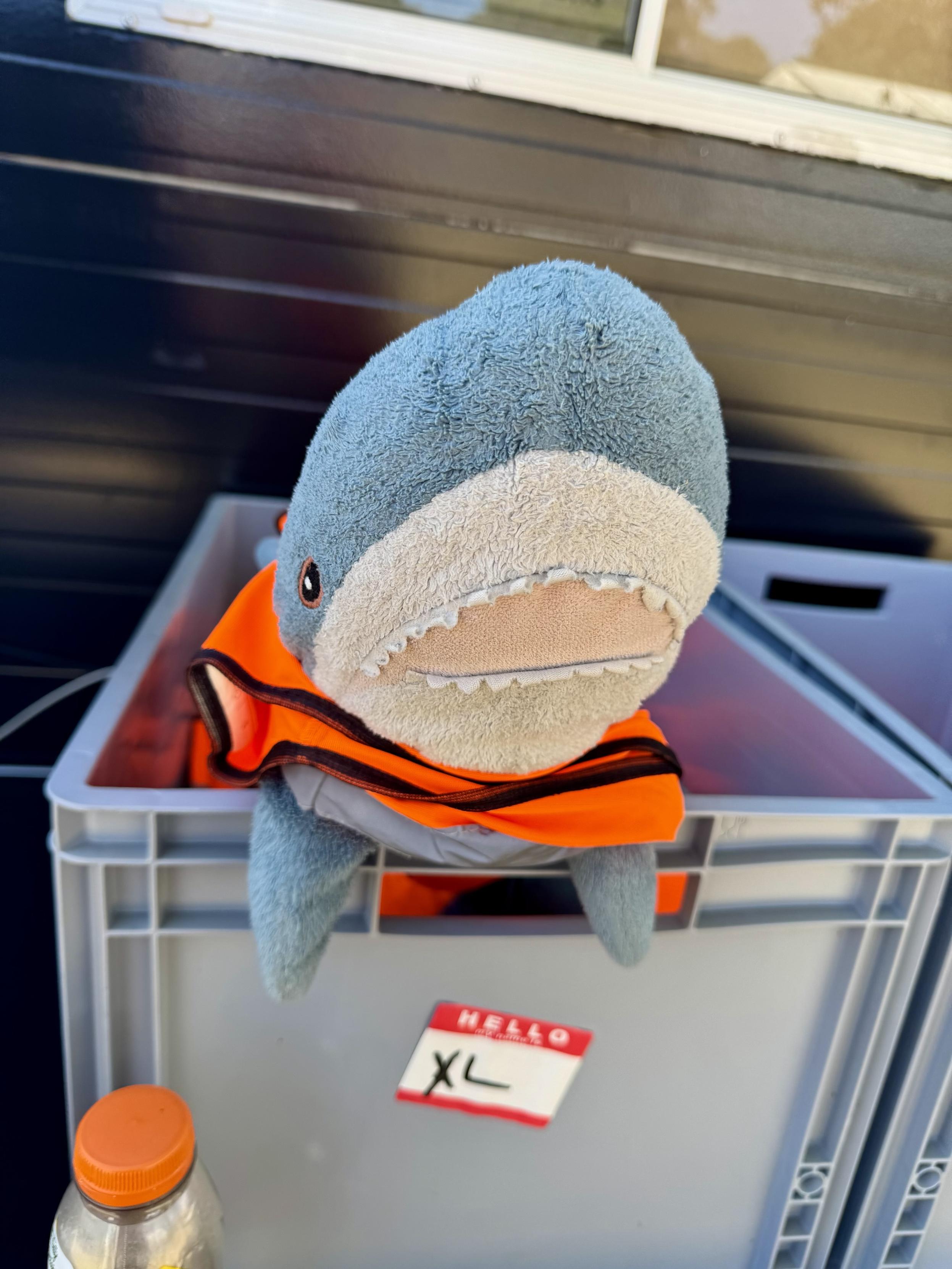 I am in a high visibility crate. I wear a high visibility jacket.