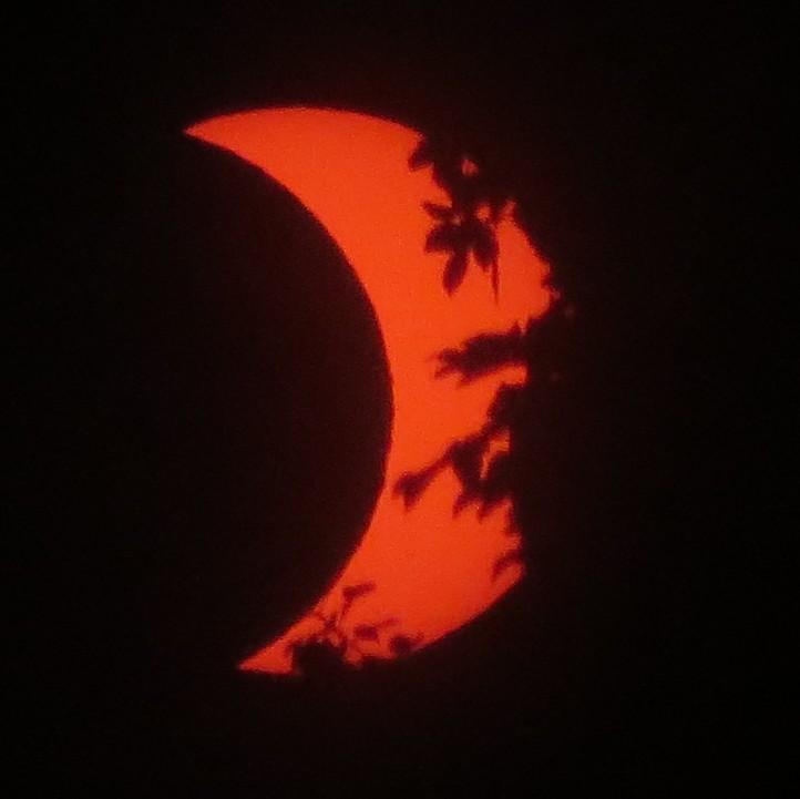 Eclipse near the end, with leaves from a tree in front of the sun.
