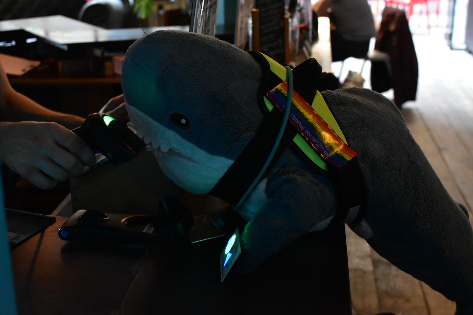 A Blåhaj cuddly sharks sitting at a counter counter. The Blåhaj holds a card in their fin, that lights up because of the scanner. Only a hand holding the scanner is visible.

Excuses from your human for the dark picture, they messed up the lighting....
